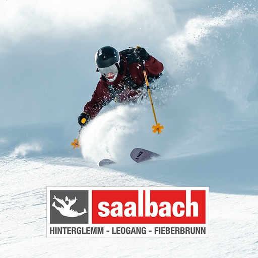 Skiticket (ganzer Tag) - Saalbach - 06.12.25